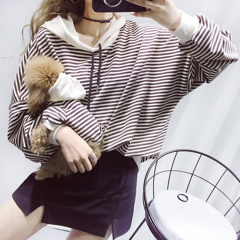 Striped Dog Terry Sweater: Casual Hooded Dog Sweatshirt in Black And Khaki Accessories