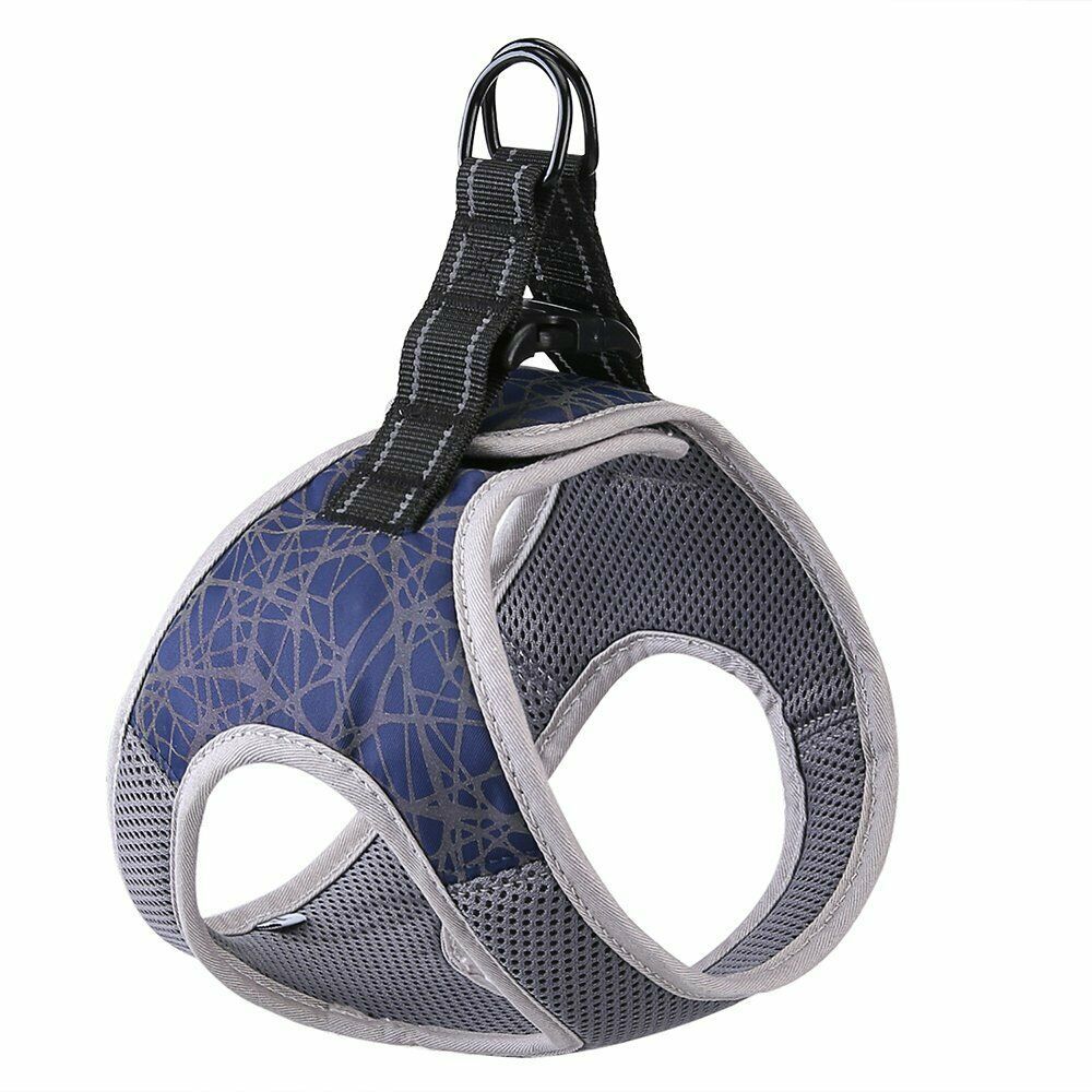 Adjustable Dog Harness And Leash Set | Breathable Dog Vest - Blue / L - harness