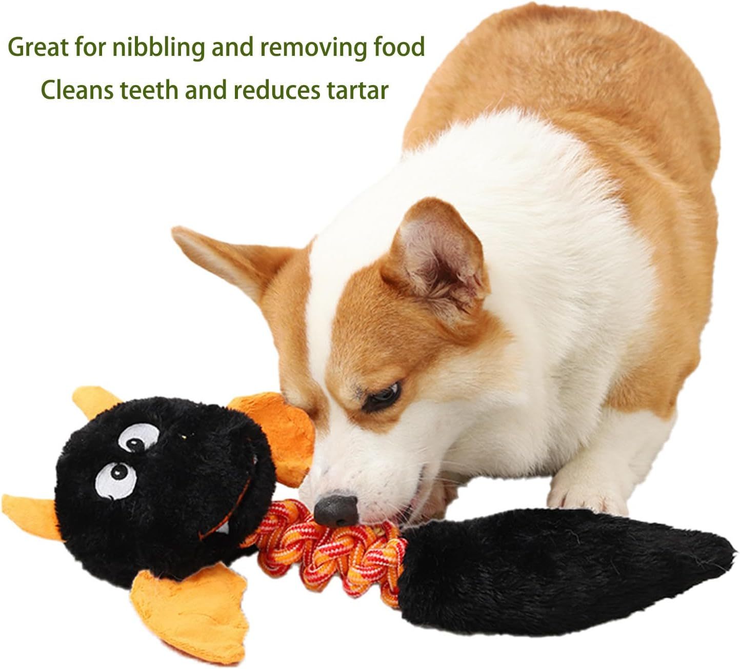 Squeaky And Crinkle Plush Dog Toy with Rope Knot | Interactive Chew Toy for Dogs toys