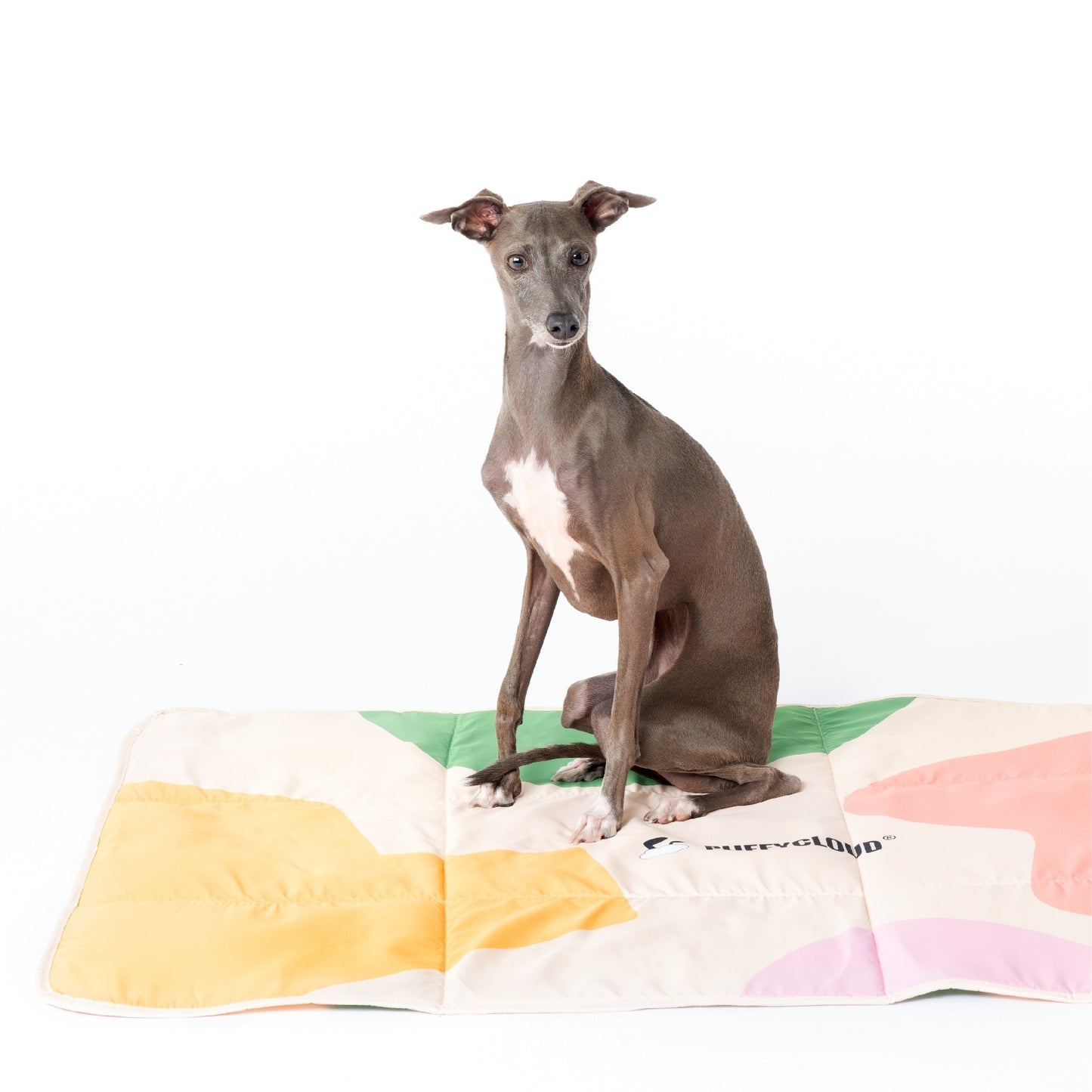 Foldable Waterproof Dog Travel Mat | Portable Outdoor Dog Blanket - Main Blue Color Matching - travel
