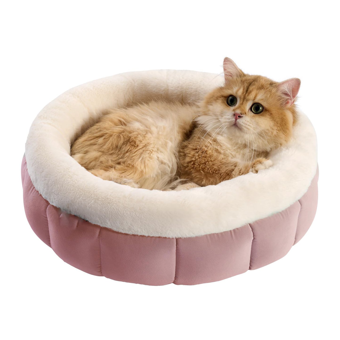 Washable Donut Dog Bed For Dogs | Calming Plush Cushion for Dogs Pink / L beds