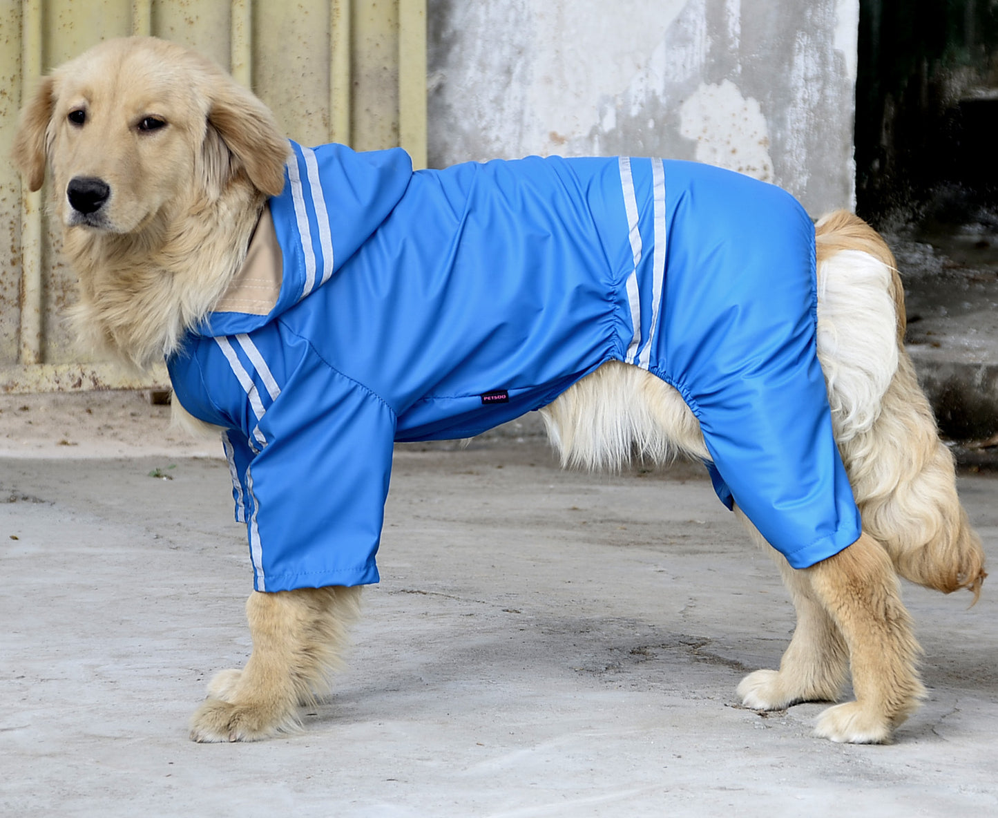 Large and Medium Dog Raincoat: Full-Coverage Waterproof Dog Jacket with Hood - Blue / 3XL - Accessories