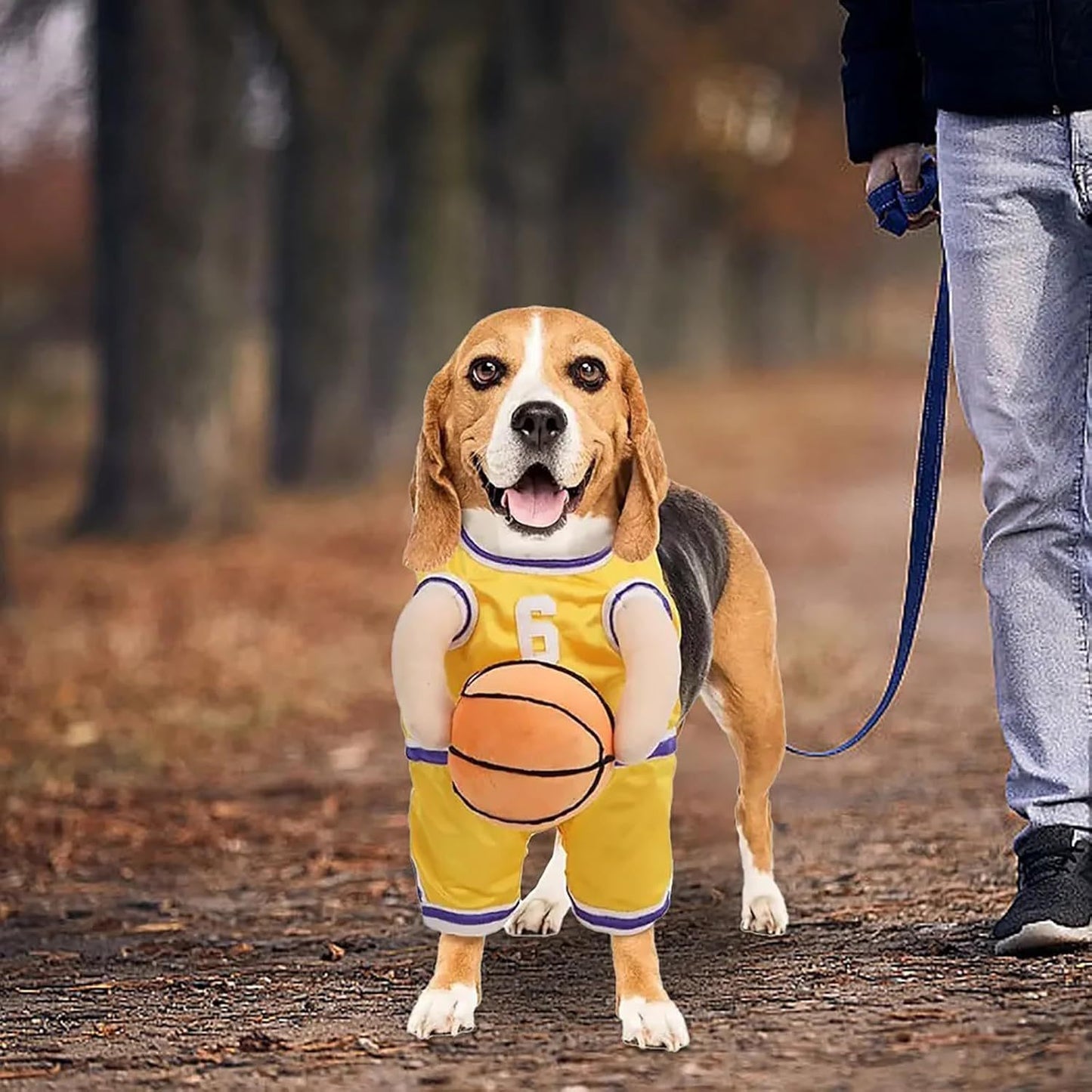 Funny Basketball Player Dog Costume | Halloween And Party Outfit for Dogs beds