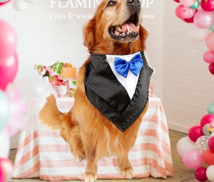 Wedding Tuxedo Dog Scarf: Adjustable Triangle Bandana for Large Dogs Accessories