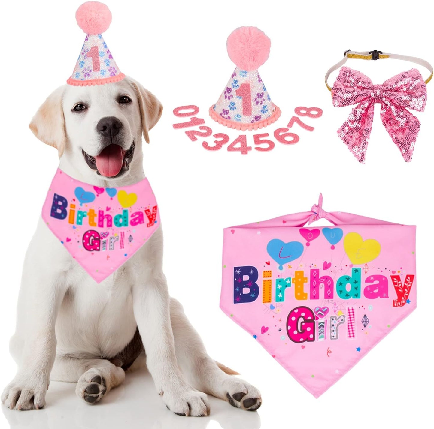 Deluxe Dog Birthday Party Set: Customizable Dog Hat Bandana And Bow Tie for Dog’s Birthdays birthday