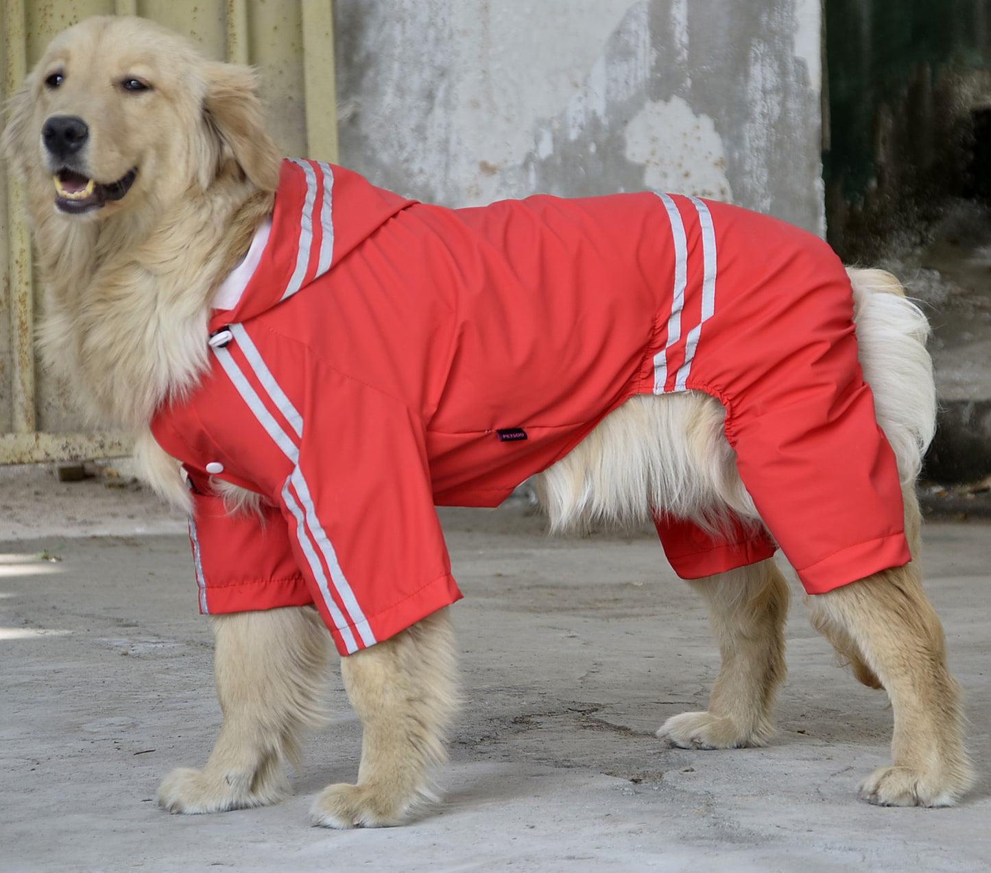 Large and Medium Dog Raincoat: Full-Coverage Waterproof Dog Jacket with Hood - Red / 3XL - Accessories