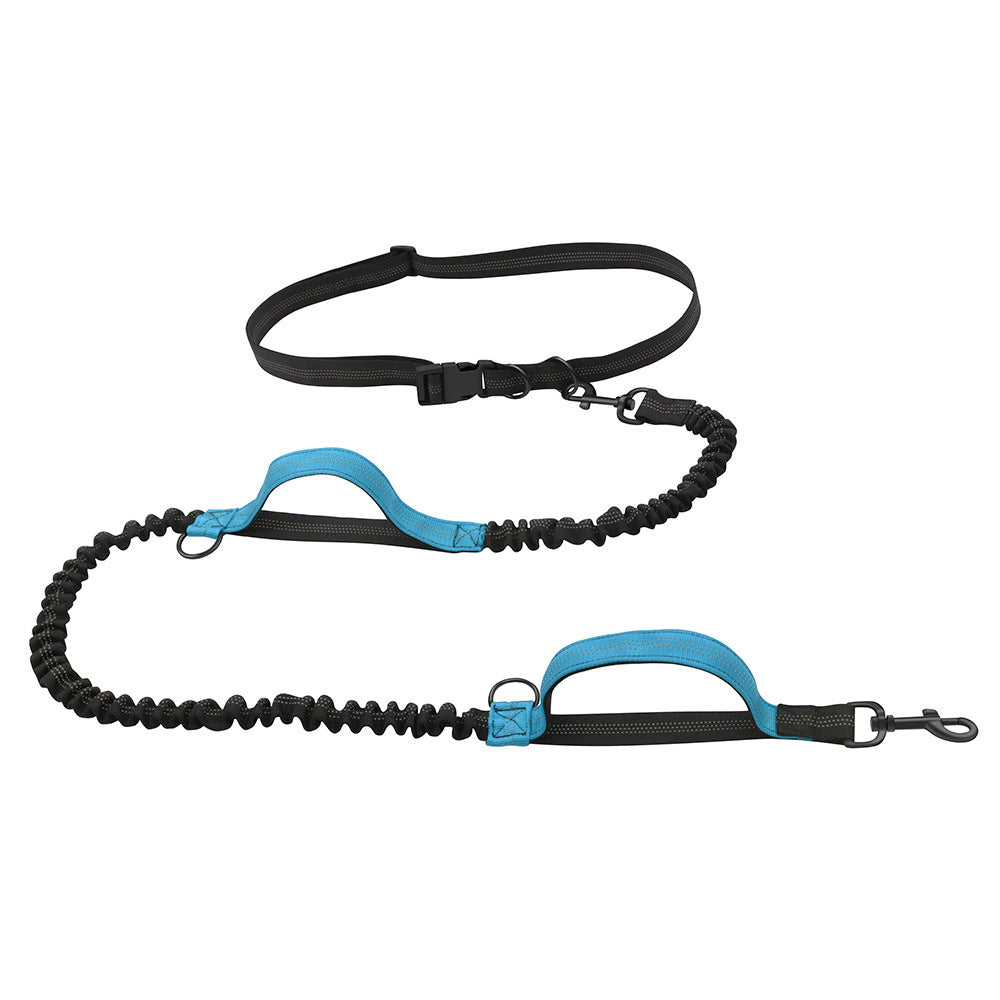 Hands-Free Bungee Dog Leash | Elastic Dog Running Leash - Blue - leash