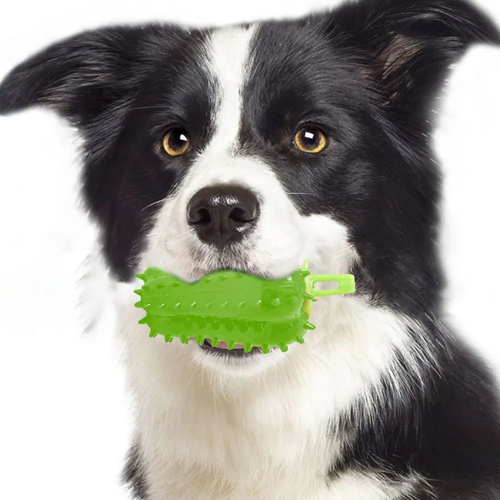 Interactive Chili Dog Chew Toy | Treat Dispenser for All Dog Sizes toys