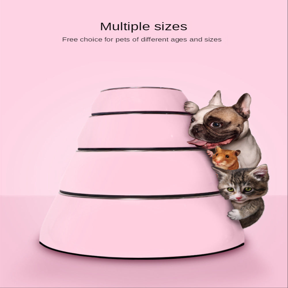 Classic Stainless Steel And Melamine Dog Bowl | Multi Color Dog Dishes for All Sizes food