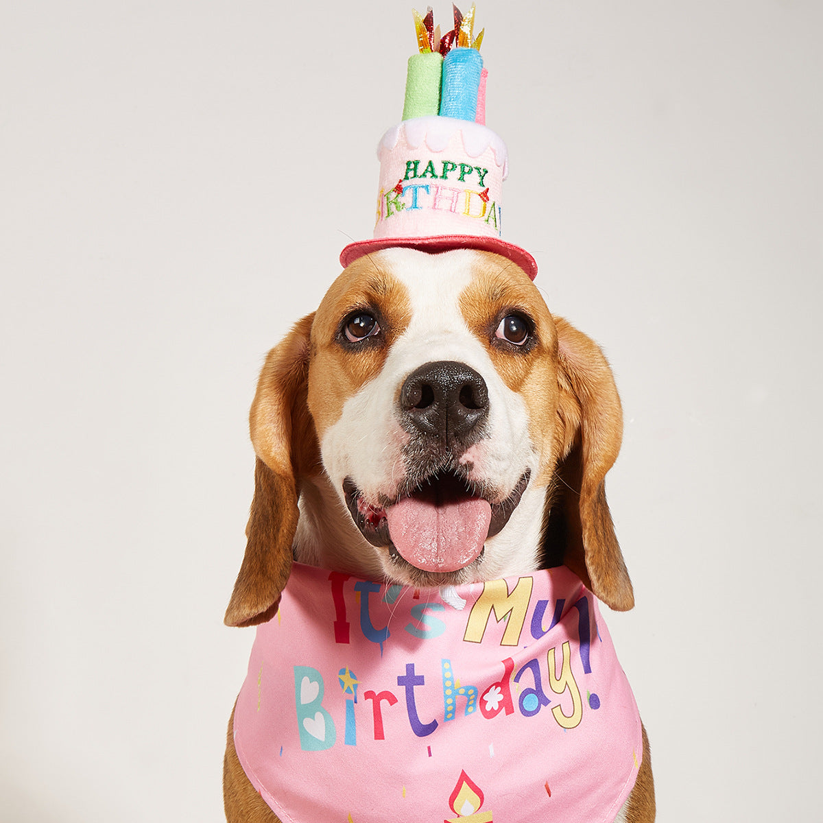 Creative Printed Dog Birthday Bib And Hat Set Ins Style Pet Accessory birthday