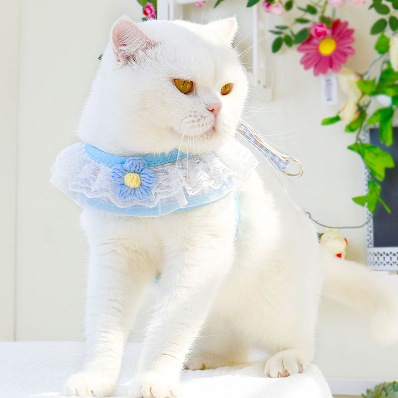 Harness And Leash Set for Small Dogs | Cute Hairy Flower Design - coats