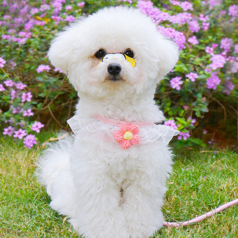 Harness And Leash Set for Small Dogs | Cute Hairy Flower Design - coats