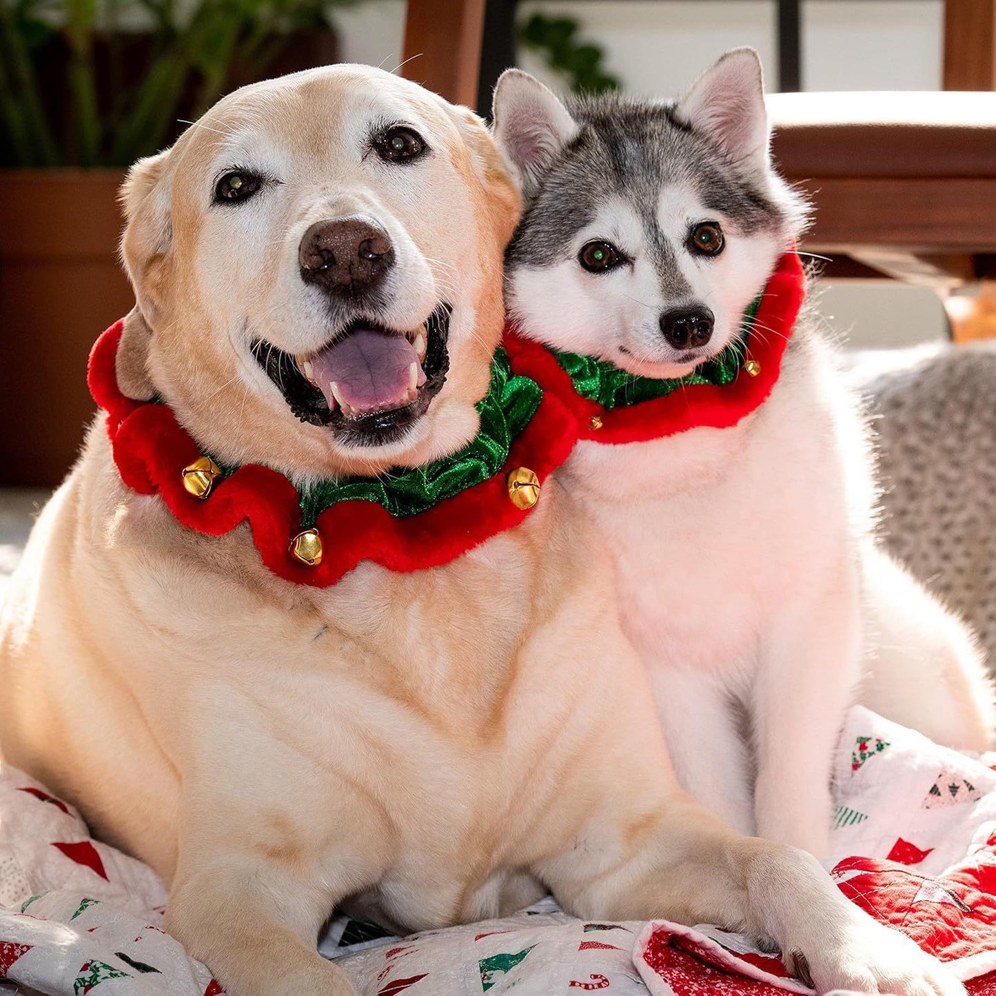 Christmas Dog Collar with Bells & Ornaments Holiday Dog Neckwear christmas