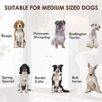 Modern Dog Feeding Station with Hidden Storage And Elevated Bowls | Dog Food Cabinet White beds
