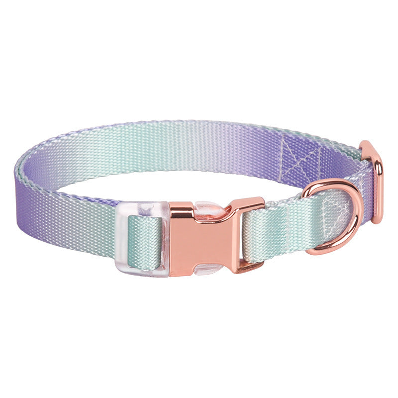 Adjustable Gradient Nylon Dog Collar | Stylish Collar For All Dogs Semimetal Purple green / L collar