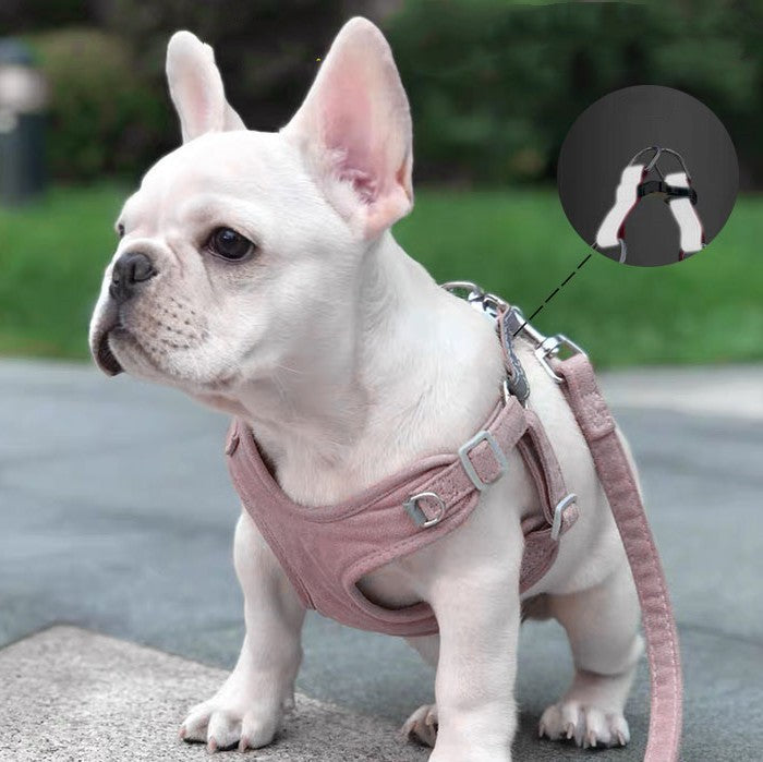 Lightweight And Reflective Dog Harness and Leash Set | Adjustable Chest Strap for All Dog Sizes - harness