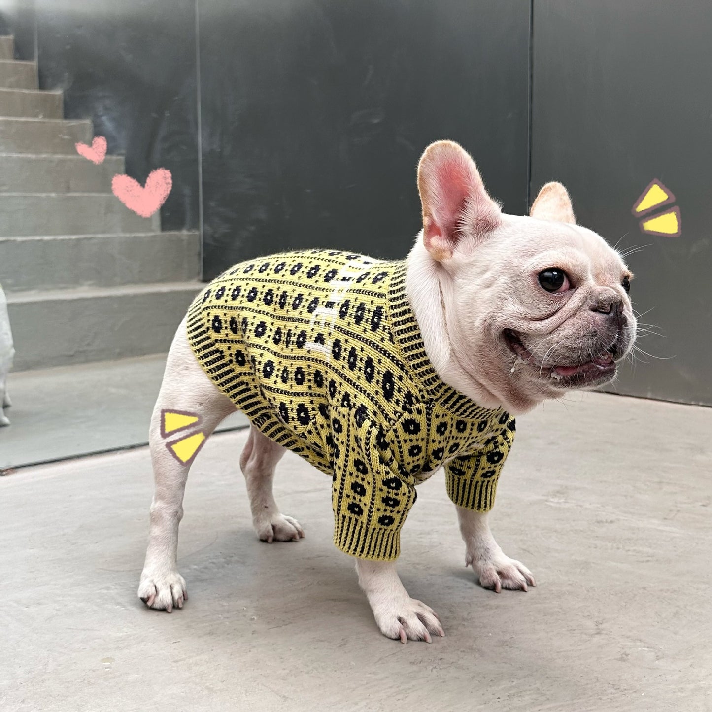 Dog Winter Sweater: Cozy Wool Dog Pullover with Matching Hat Option Accessories