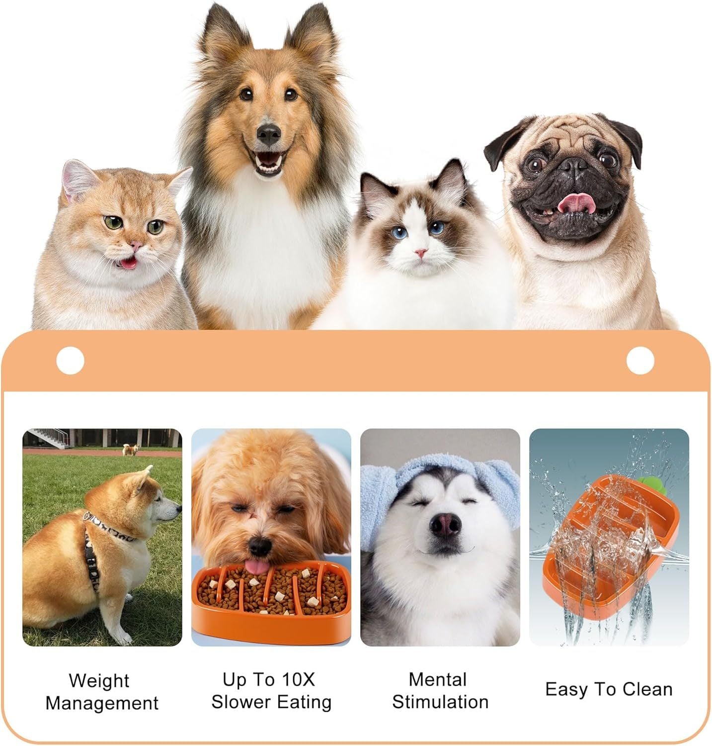 Carrot Design Slow Feeder Dog Bowl | Non Slip Dog Dish for All Dogs home