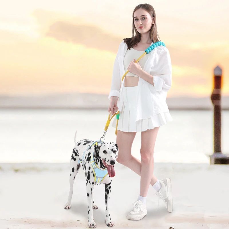 Nylon Dog Leash with Comfortable Foam Handle | Anti-Slip Dog Traction Rope - leash