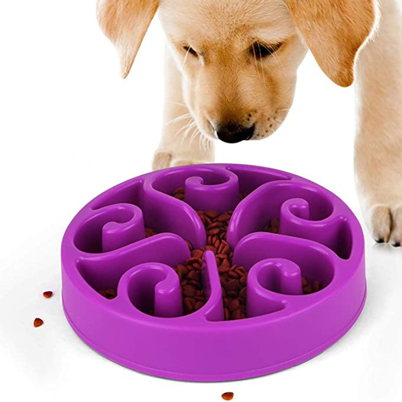 Slow Feeder Dog Bowl To Prevent Bloating| Dog Food Bowls Purple eco
