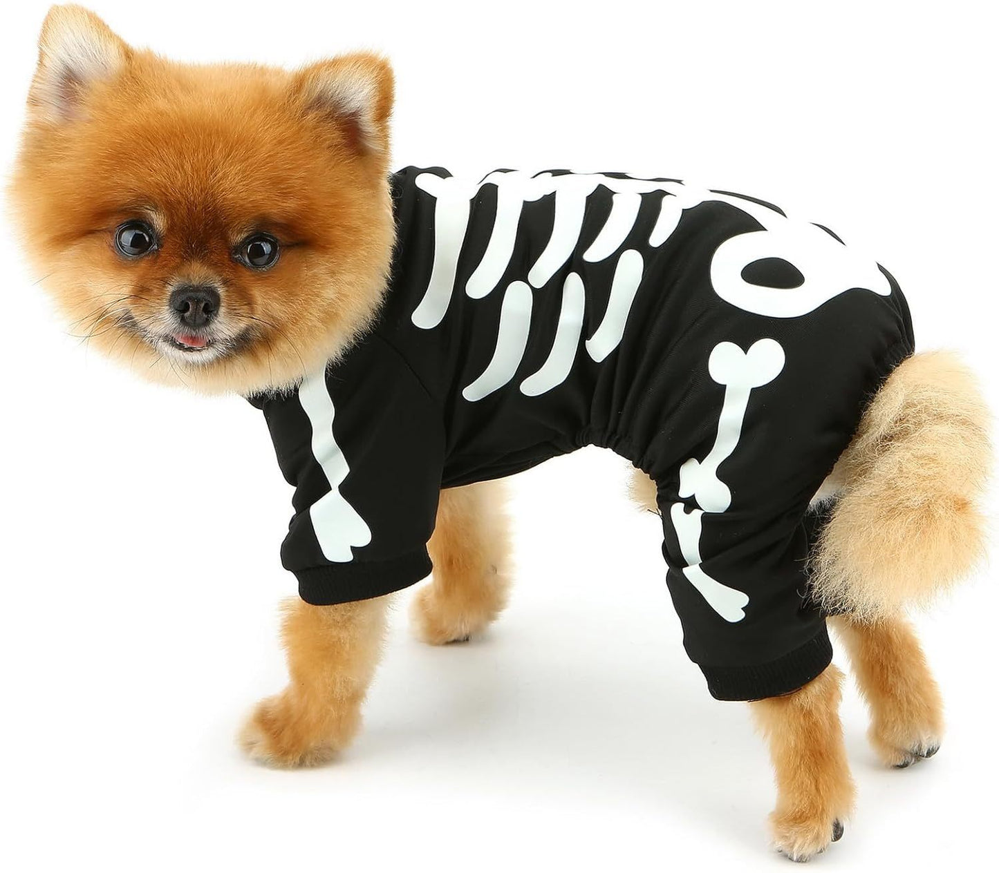 Glow in the Dark Skeleton Dog Jumpsuit | Halloween Costume for Small Dogs costumes