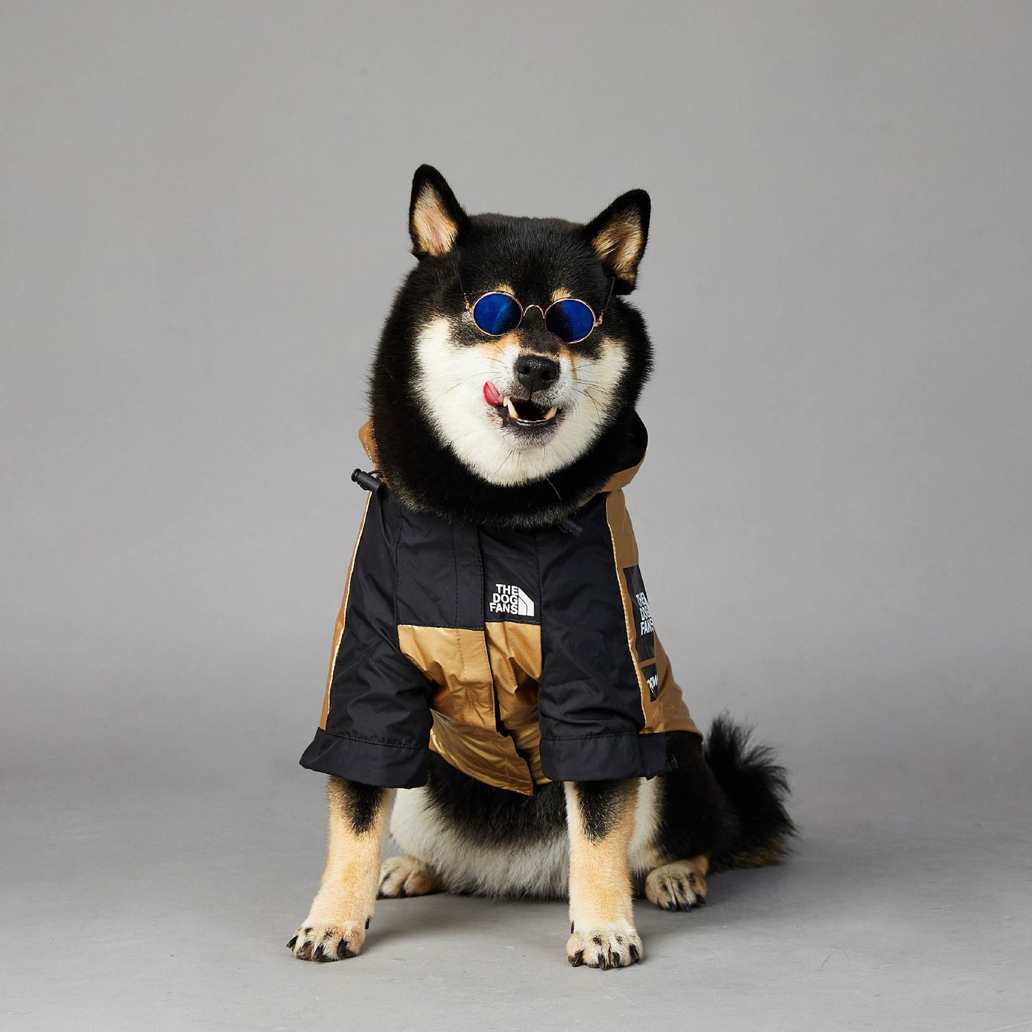 Large Dog Raincoat: European And American Style Waterproof Dog Jacket - Accessories