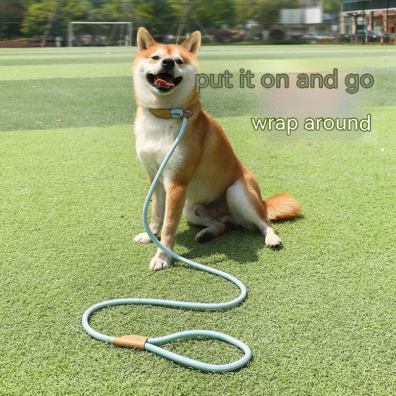 Vibrant Nylon Dog Leash | Durable Dog Lead with Multiple Colors - Dog Collars & Leashes