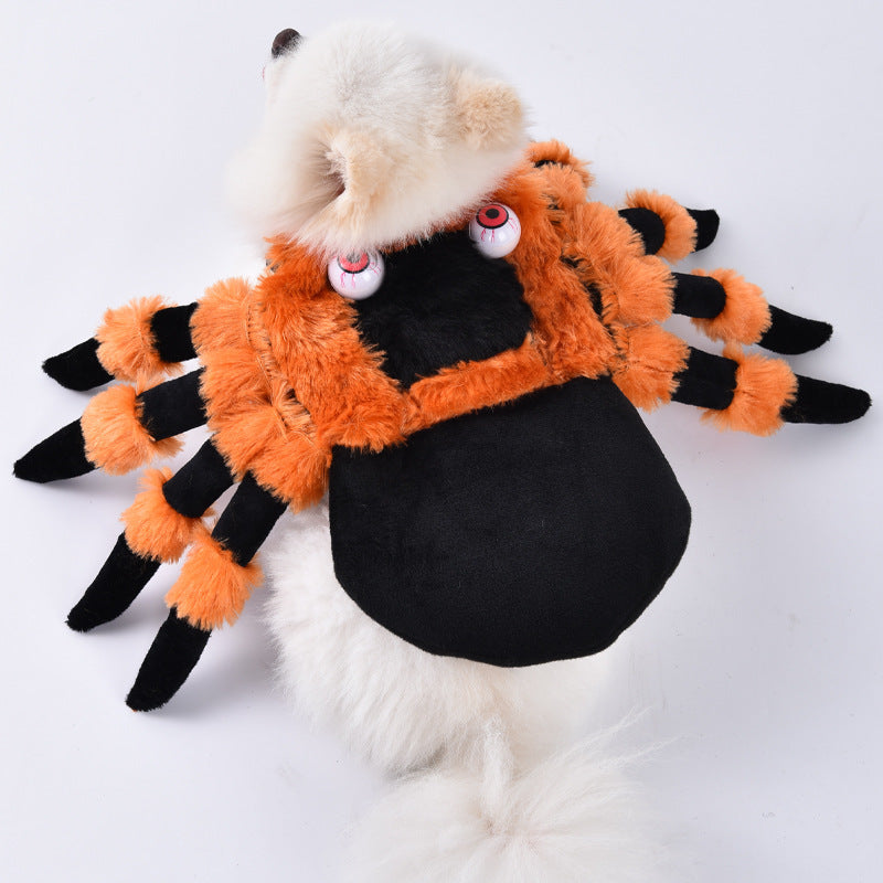 Halloween Funny Dog Clothes: Creative Dog Transformation Costume Spider Pet Costume / L Accessories