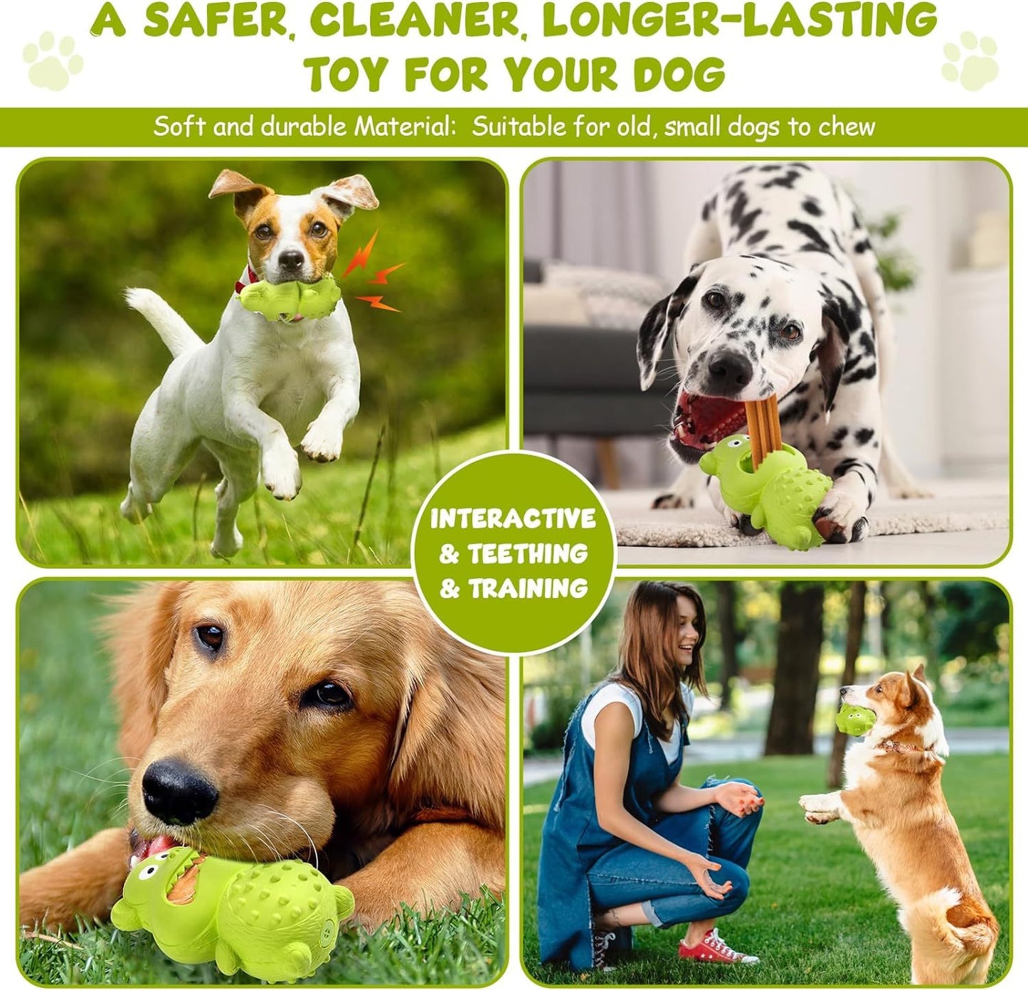 Squeaky Rubber Dog Chew Toy | Interactive Dog Treat Dispenser for Aggressive Chewers beds
