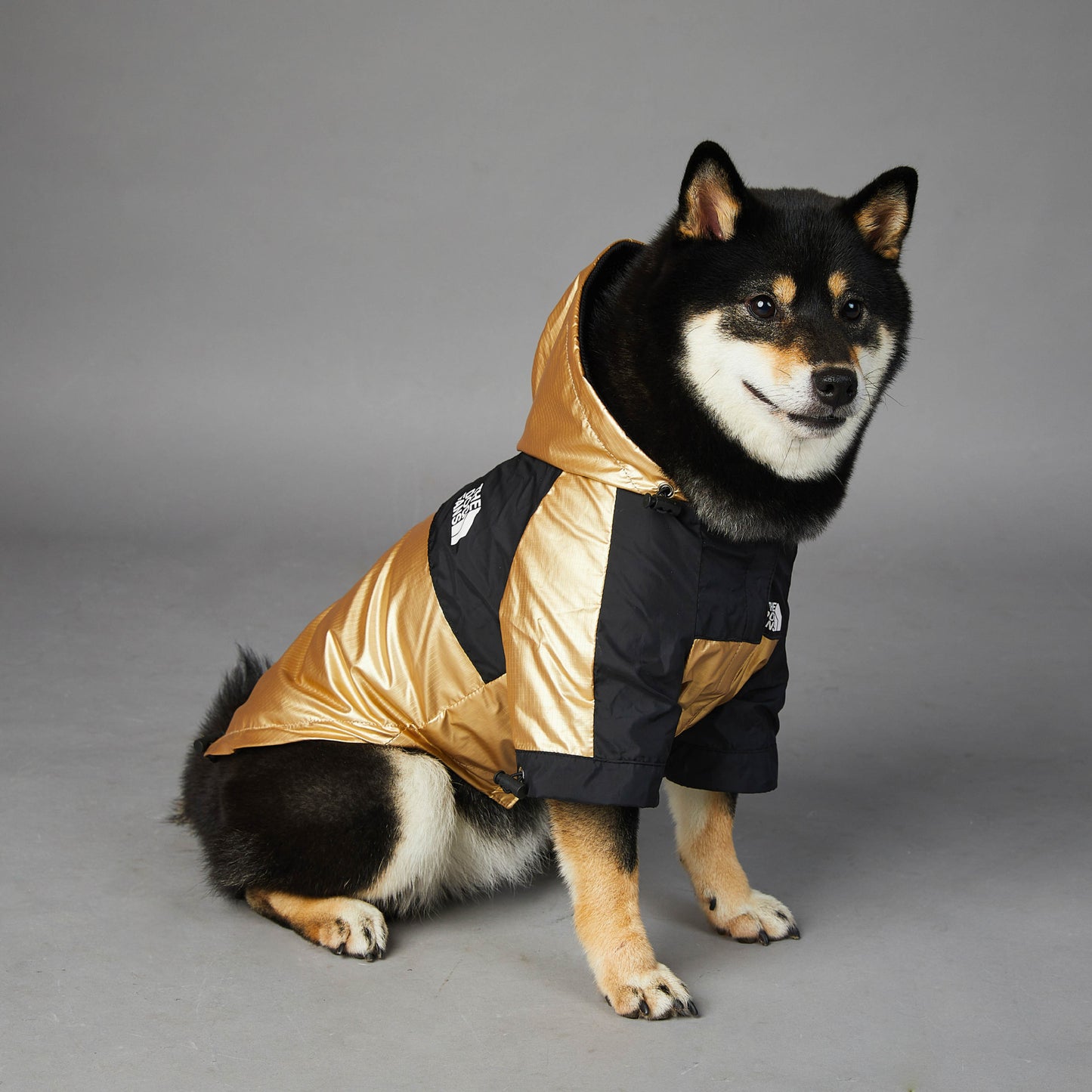 Large Dog Raincoat: European And American Style Waterproof Dog Jacket - Accessories