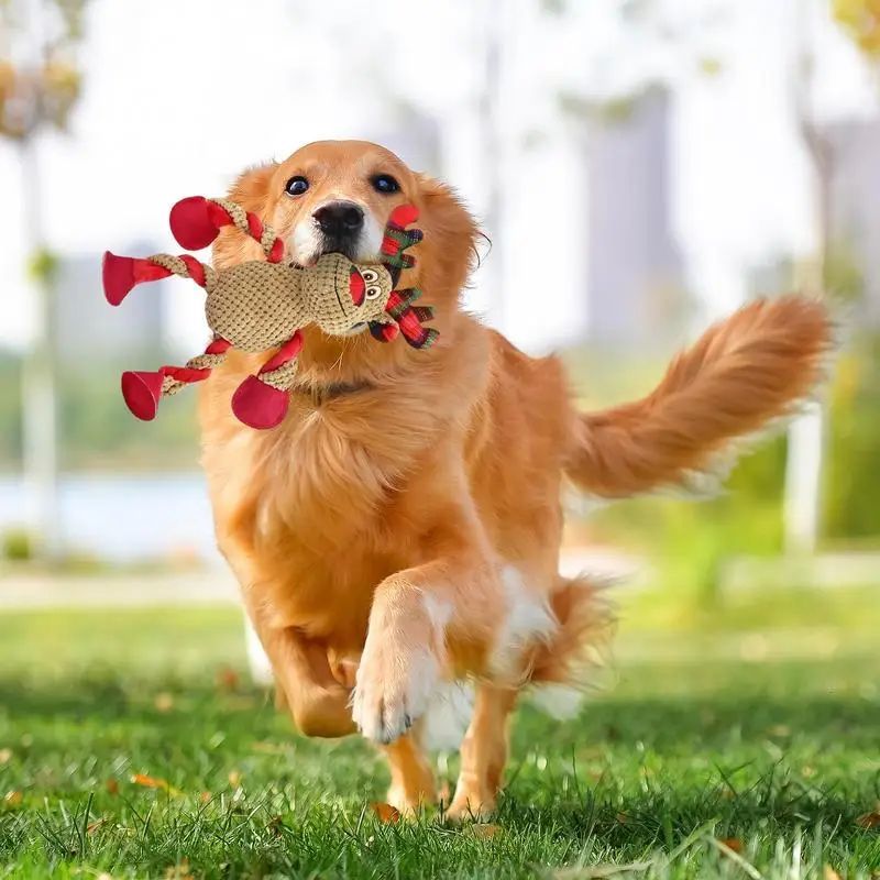 Squeaky Christmas Dog Toy | Interactive Holiday Chew Toy for Dogs toys