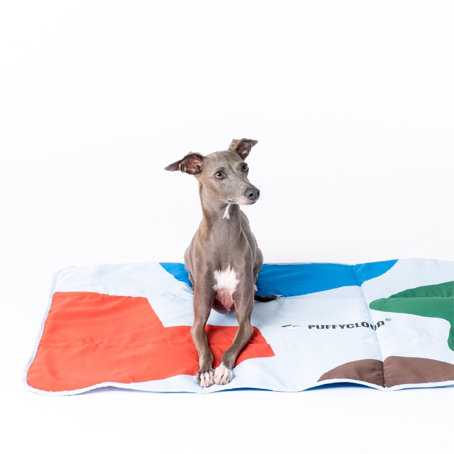 Foldable Waterproof Dog Travel Mat | Portable Outdoor Dog Blanket - Main Blue Color Matching - travel