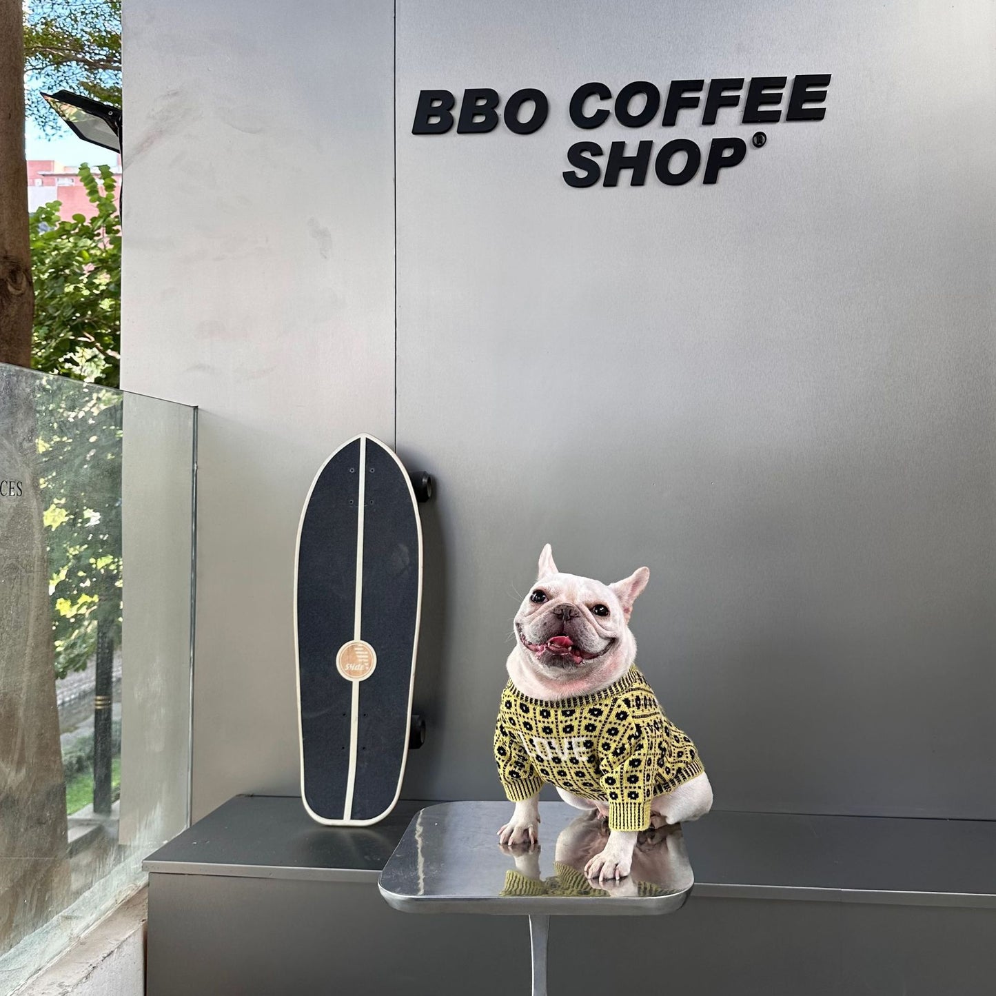 Dog Winter Sweater: Cozy Wool Dog Pullover with Matching Hat Option Accessories