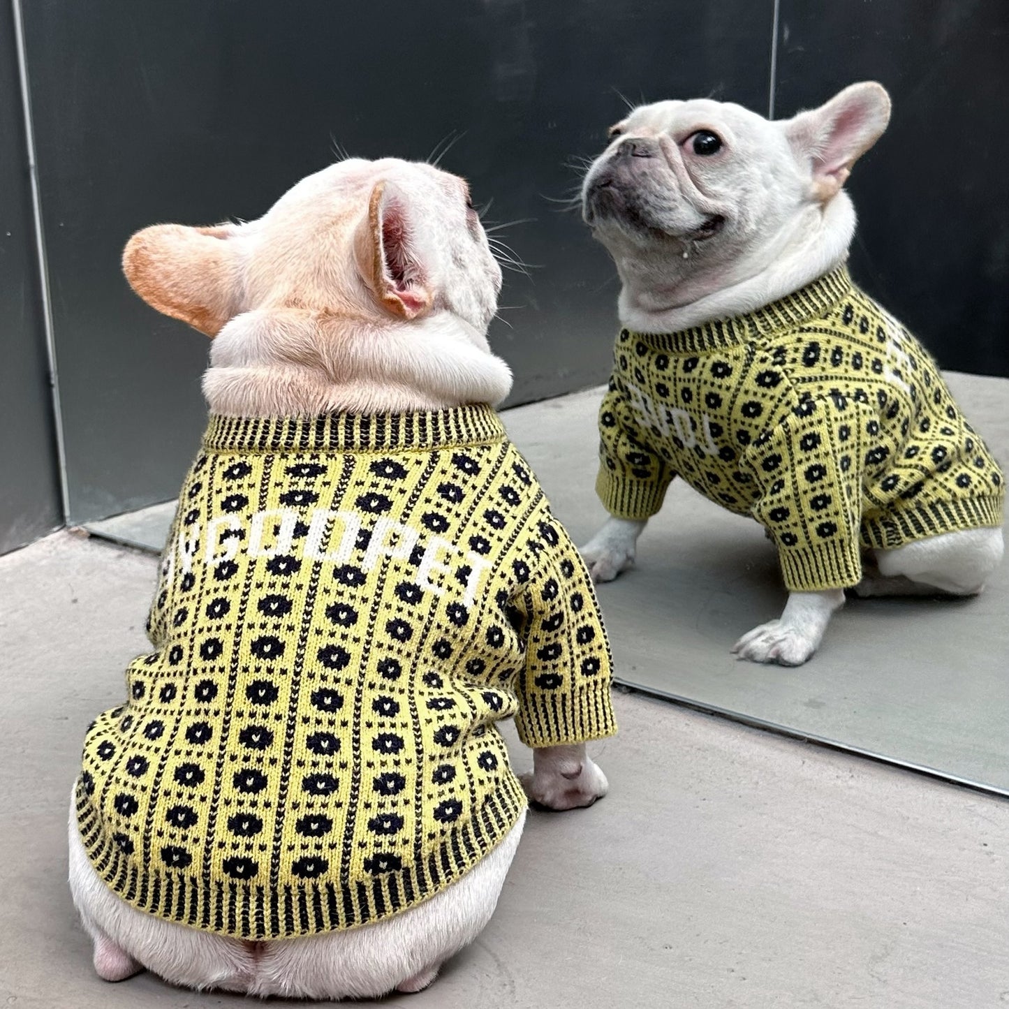 Dog Winter Sweater: Cozy Wool Dog Pullover with Matching Hat Option Accessories