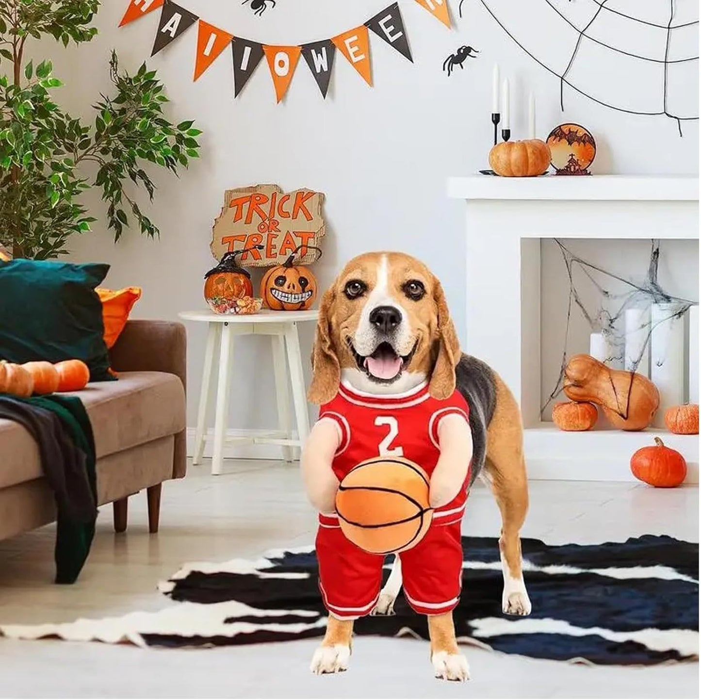 Funny Basketball Player Dog Costume | Halloween And Party Outfit for Dogs beds