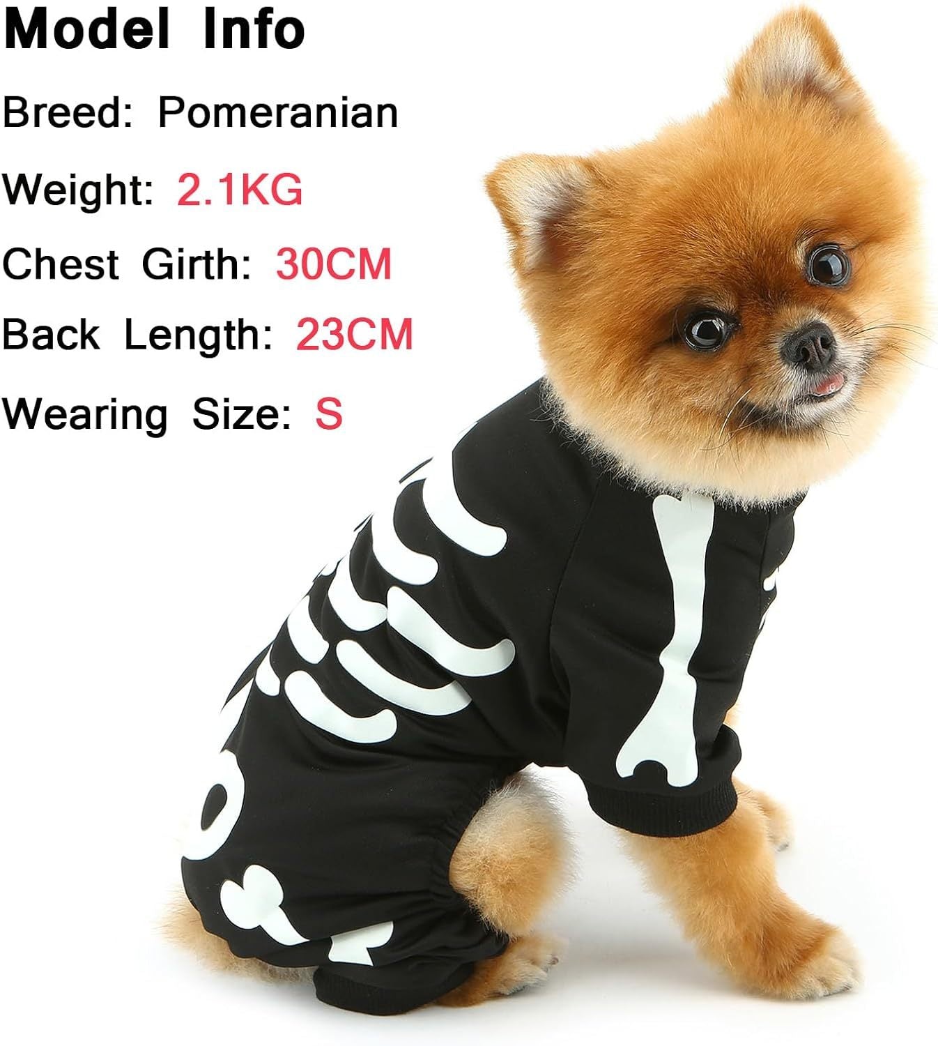 Glow in the Dark Skeleton Dog Jumpsuit | Halloween Costume for Small Dogs costumes