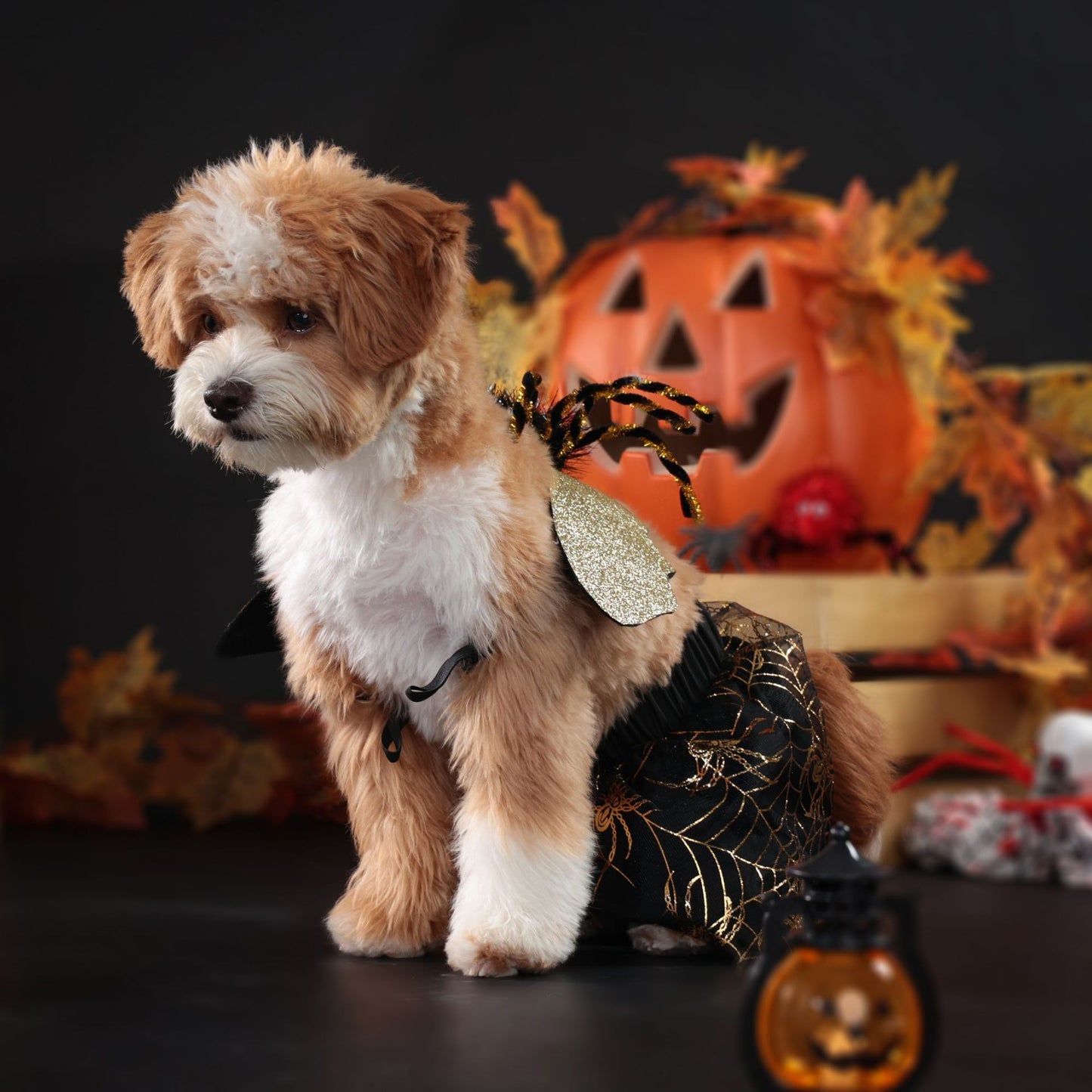 Dog Halloween Dog Suit: Upright Costume for Parties Accessories