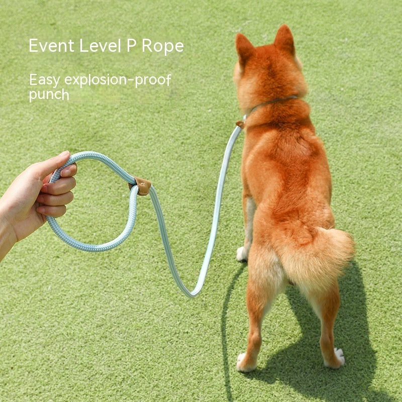 Vibrant Nylon Dog Leash | Durable Dog Lead with Multiple Colors - Dog Collars & Leashes