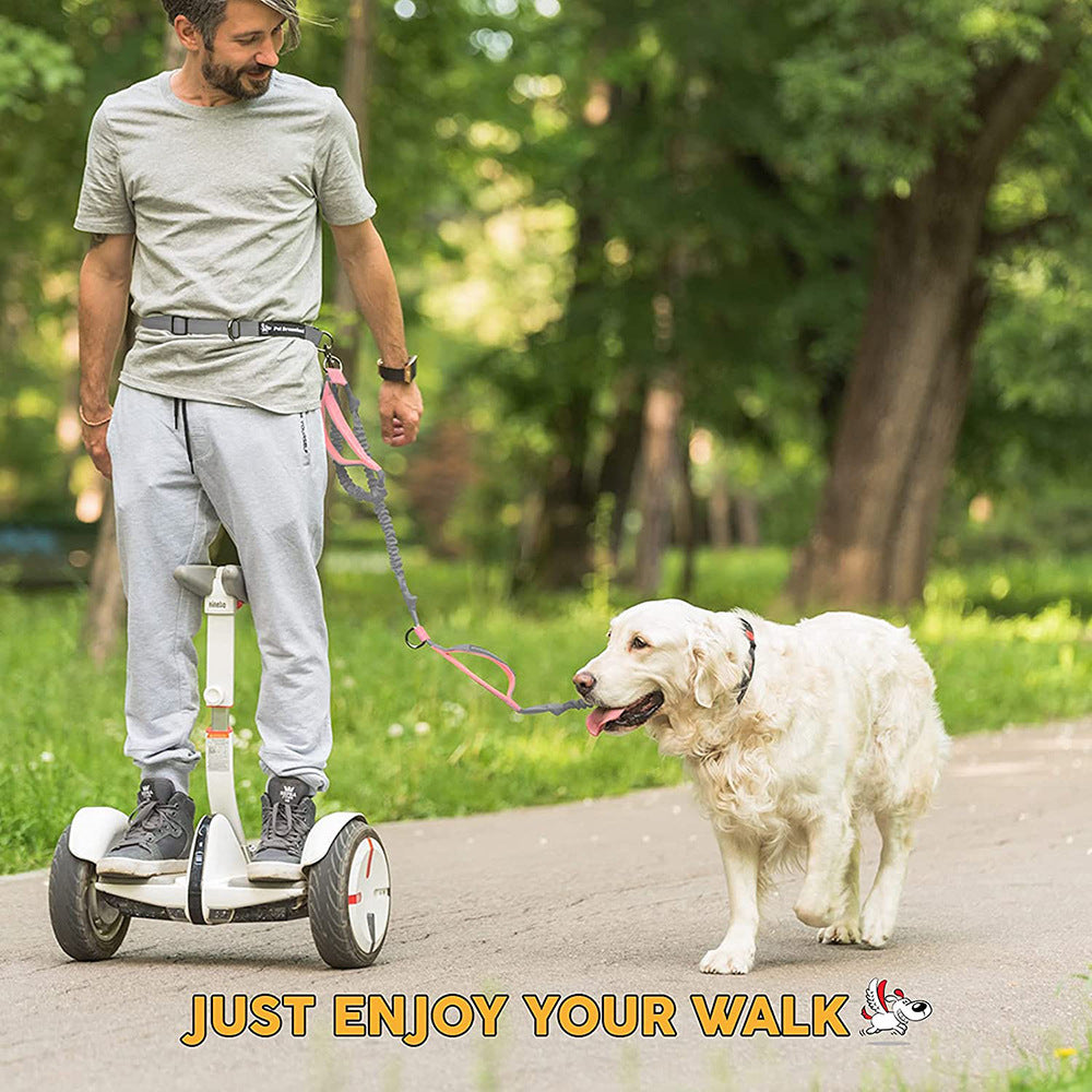 Hands-Free Bungee Dog Leash | Elastic Dog Running Leash - leash