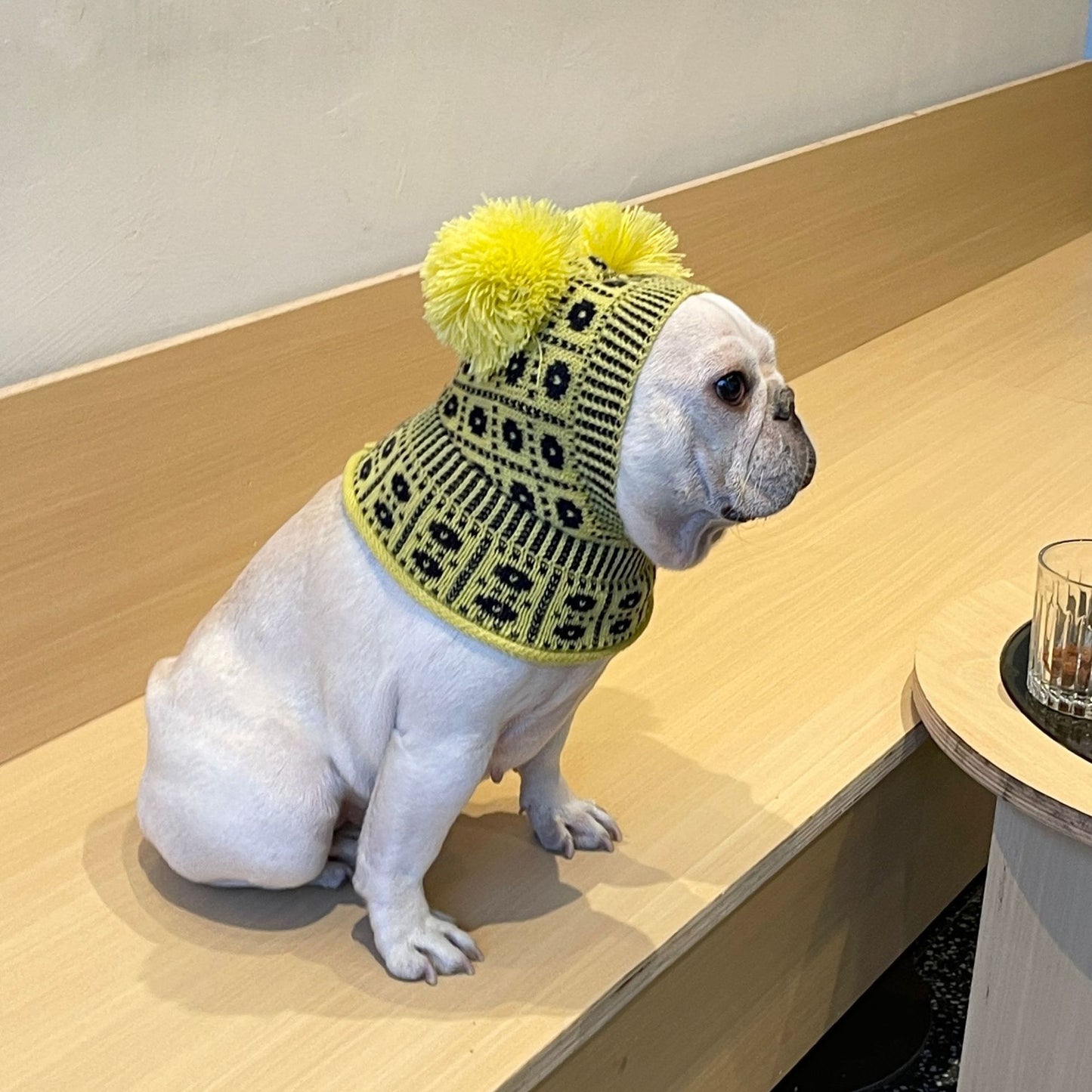Dog Winter Sweater: Cozy Wool Dog Pullover with Matching Hat Option Accessories