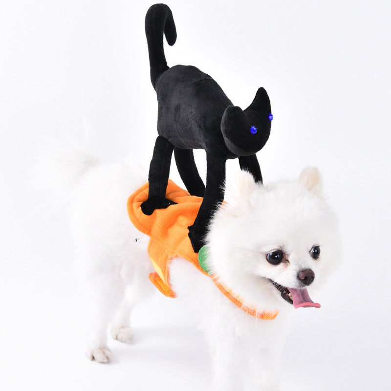 Halloween Funny Dog Clothes: Creative Dog Transformation Costume Little Black Cat / L Accessories