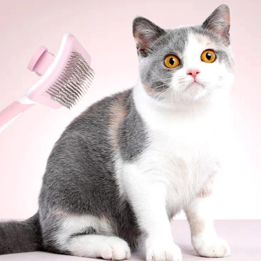 Self Cleaning Slicker Brush for Dogs | One Click Grooming for All Dog Types home