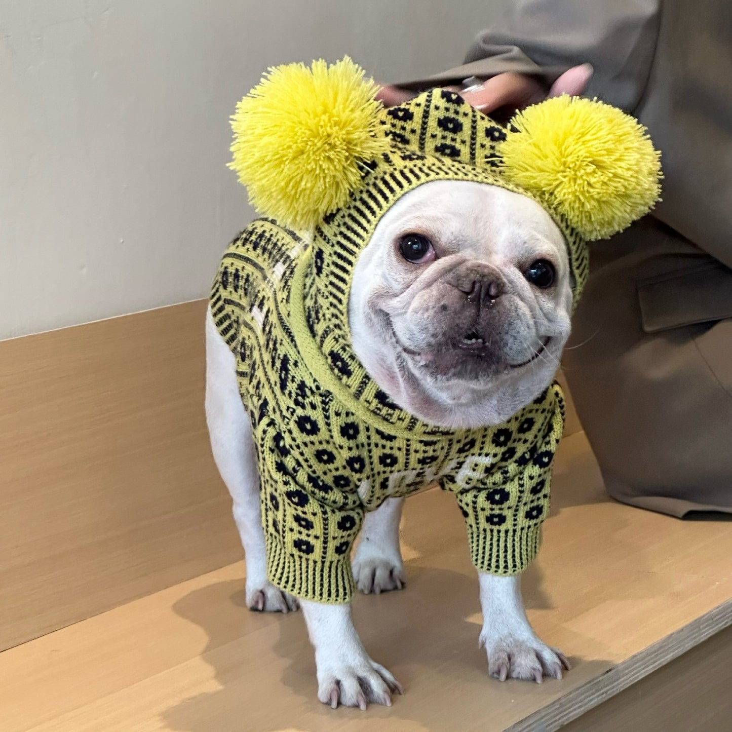 Dog Winter Sweater: Cozy Wool Dog Pullover with Matching Hat Option Accessories