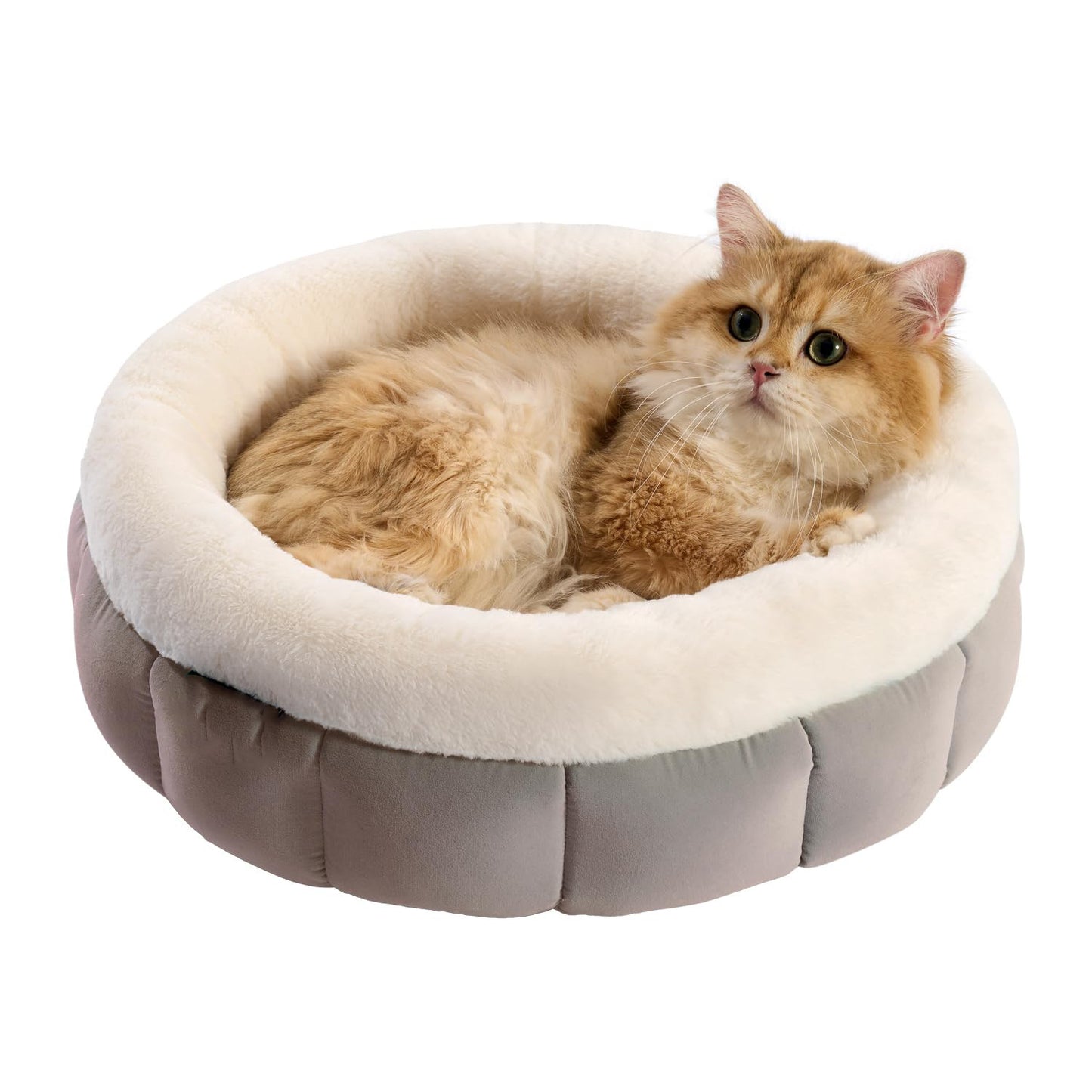Washable Donut Dog Bed For Dogs | Calming Plush Cushion for Dogs Brown / L beds