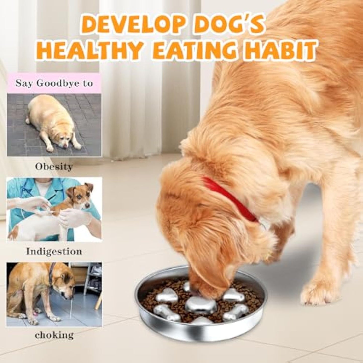 Stainless Steel Slow Feeder Dog Bowl | Non Slip Dog Dish for Fast Eaters food
