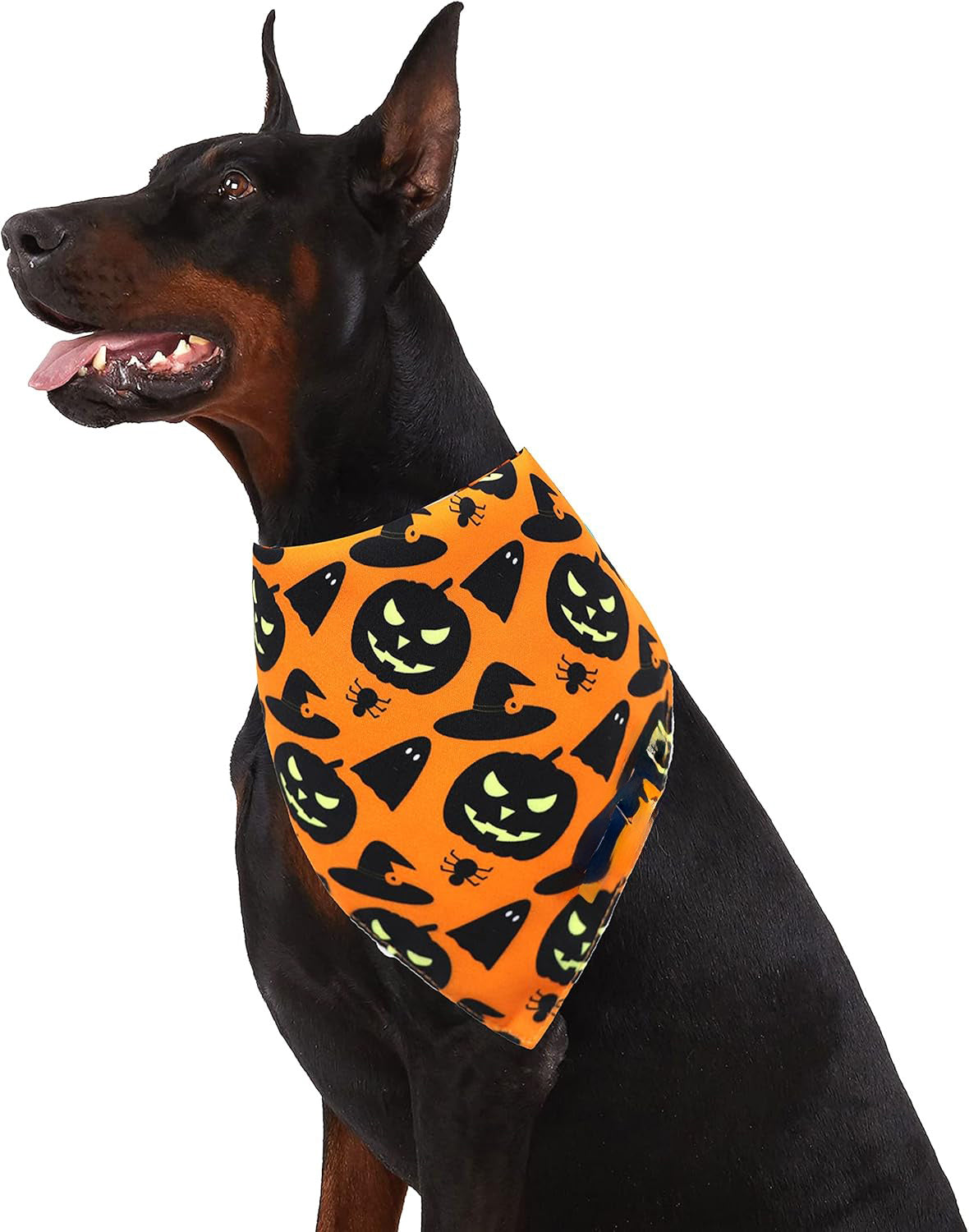 Halloween Dog Bandana | Reversible Pumpkin And Spider Web Dog Bandana bow
