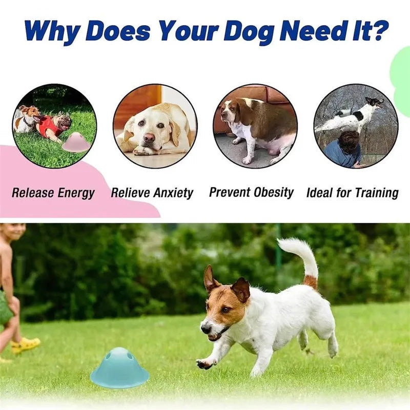 Interactive Dog Puzzle Toy For Intelligence Training | Treat Dispenser Dog Toy food