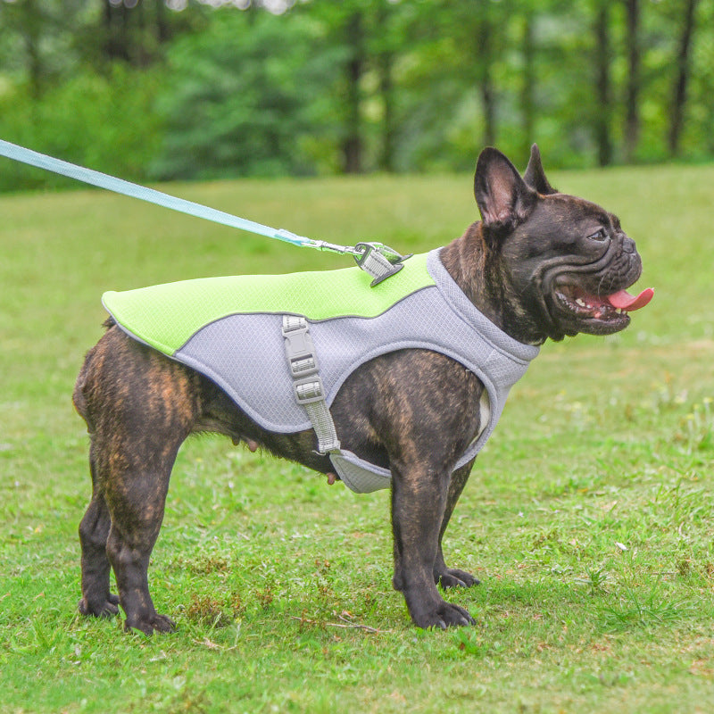 Summer Dog Cooling Vest | Breathable And Heat-Resistant Jacket for Dogs - outdoor