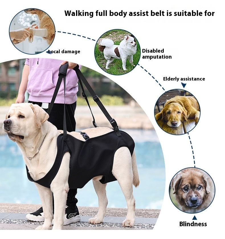 Oxford Cloth Dog Lifting Harness | Support Sling for Injured or Senior Dogs - travel