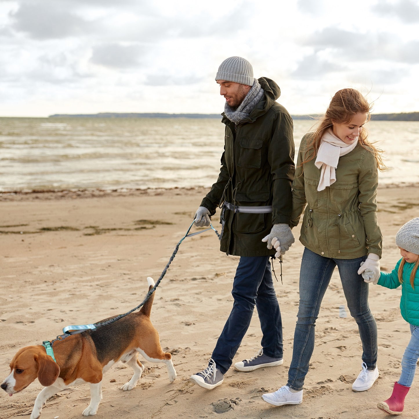 Hands-Free Bungee Dog Leash | Elastic Dog Running Leash - leash